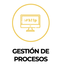 gestion de procesos kit digital kinesian