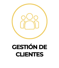 gestion de clientes kit digital kinesian